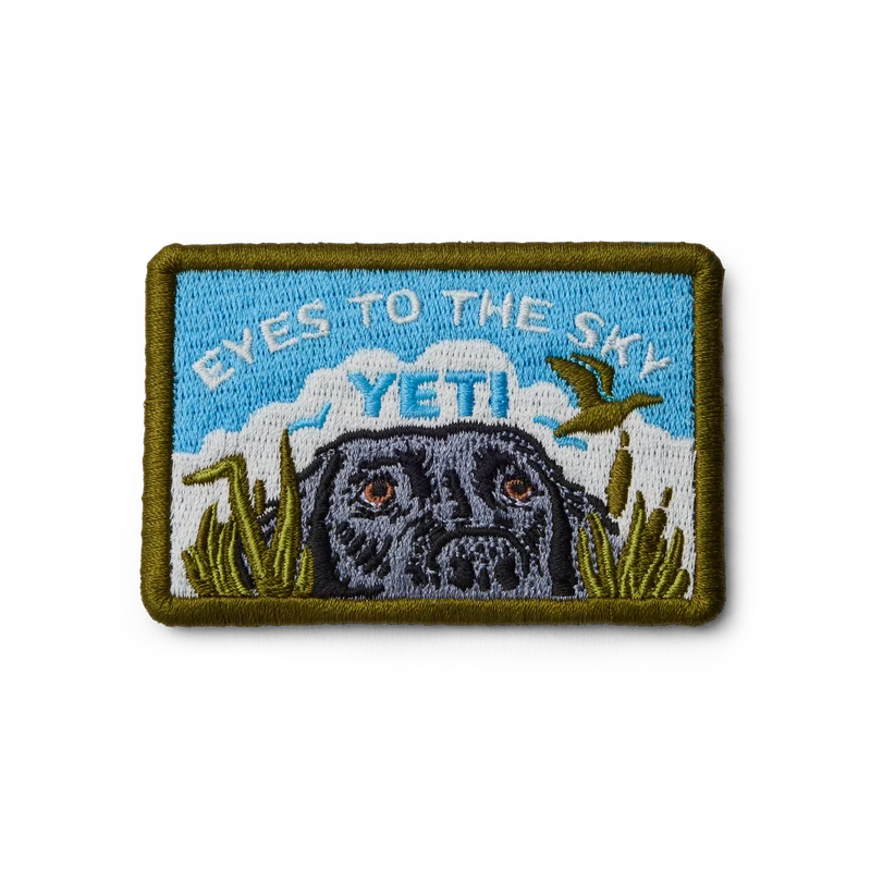 Eyes to the Sky-patch