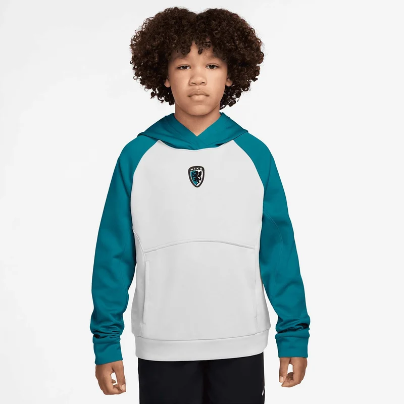 multi renew big kids' hoodie
