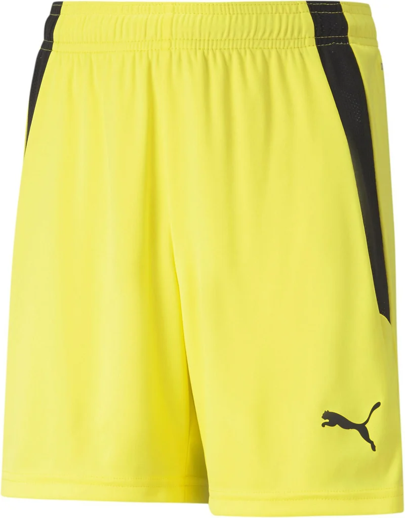teamLIGA Shorts Short 100%PES